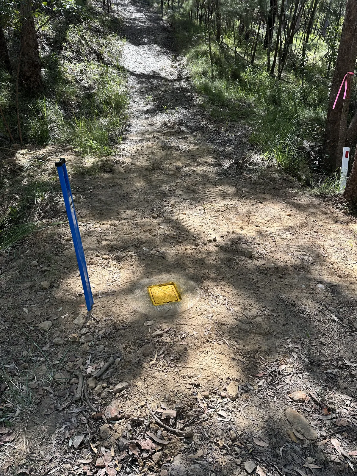 Wooded track with disturbed ground, a blue upright marker and a small rectangular pit lid
